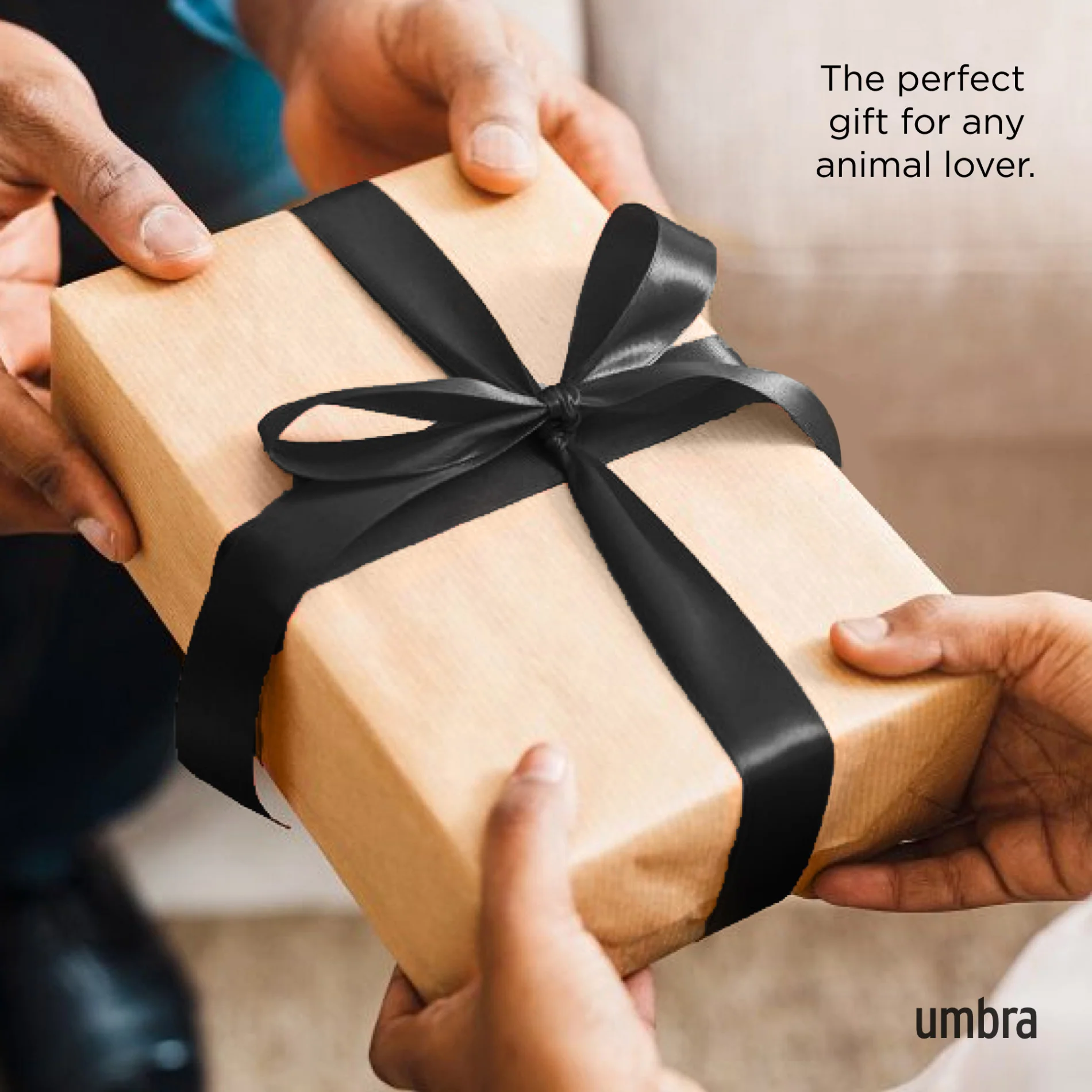 Ali Cat Ring Holder - Image 17