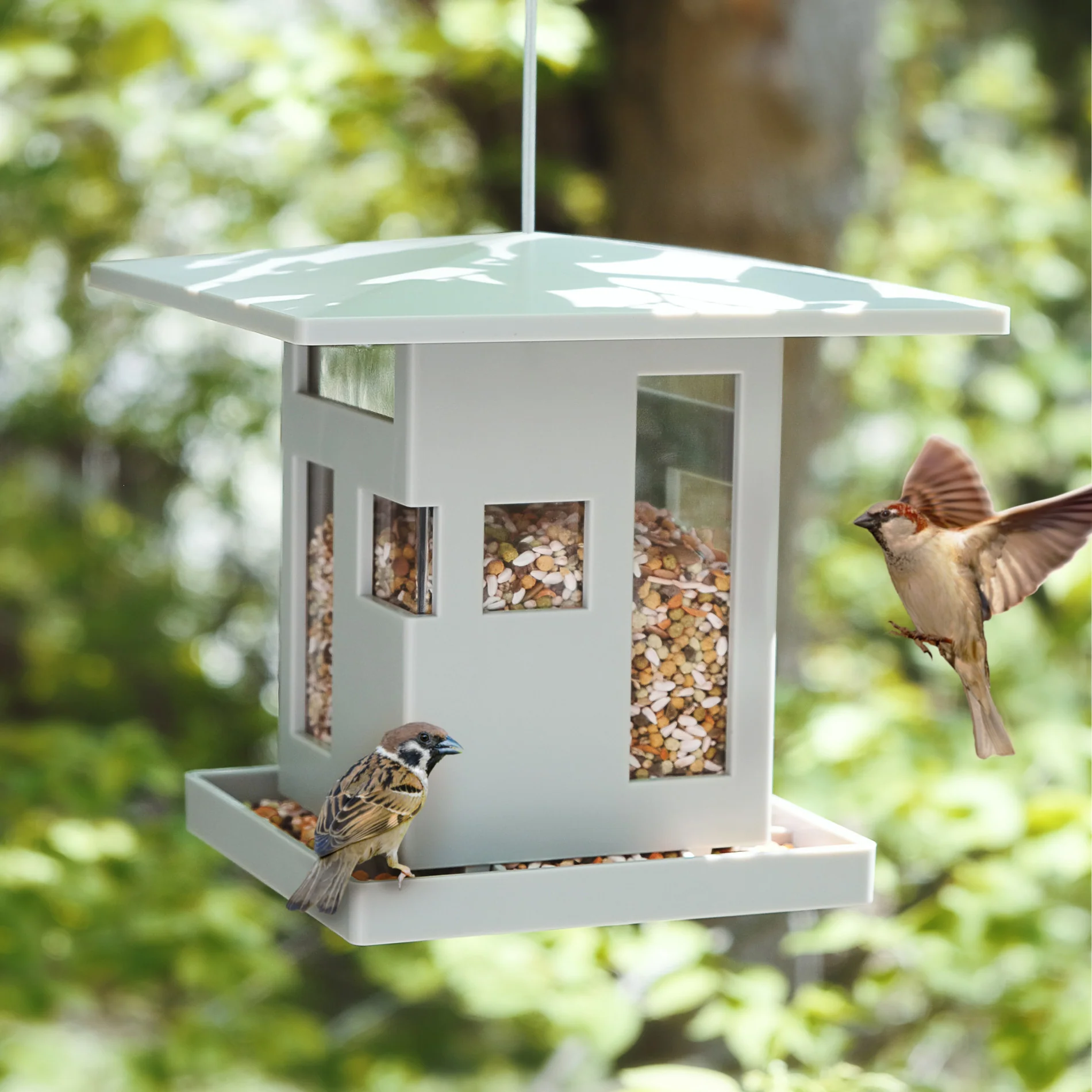 Bird Cafe - Image 4