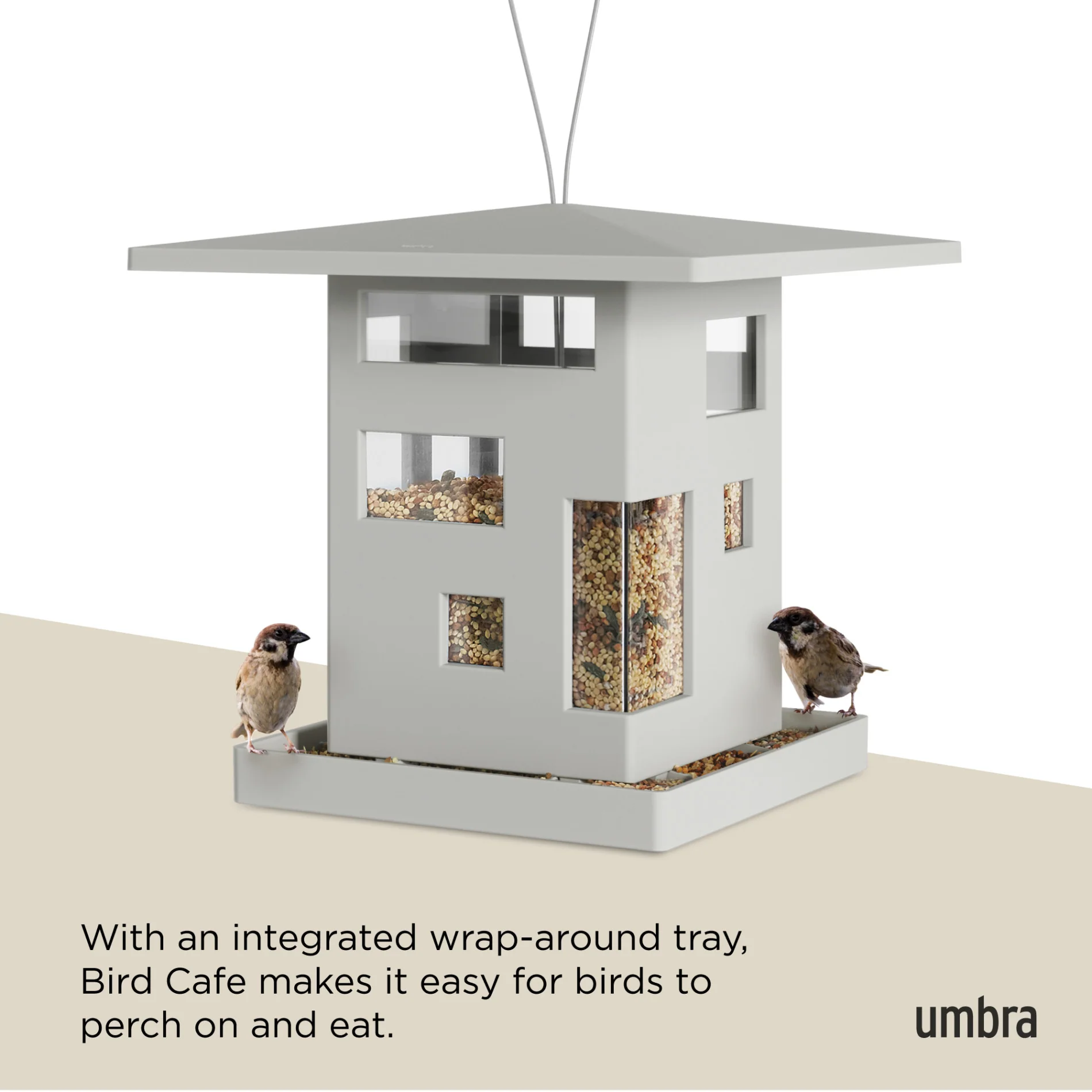 Bird Cafe - Image 7