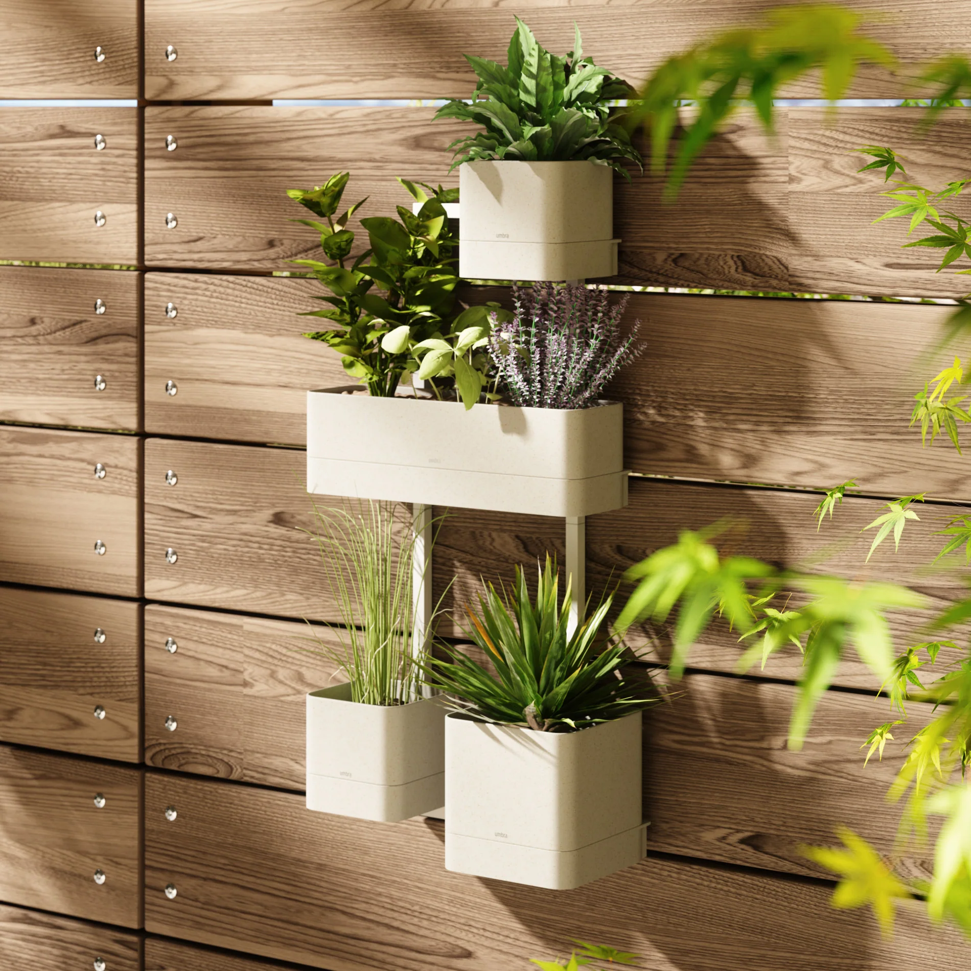 Cubiko Wall Planter - Image 11
