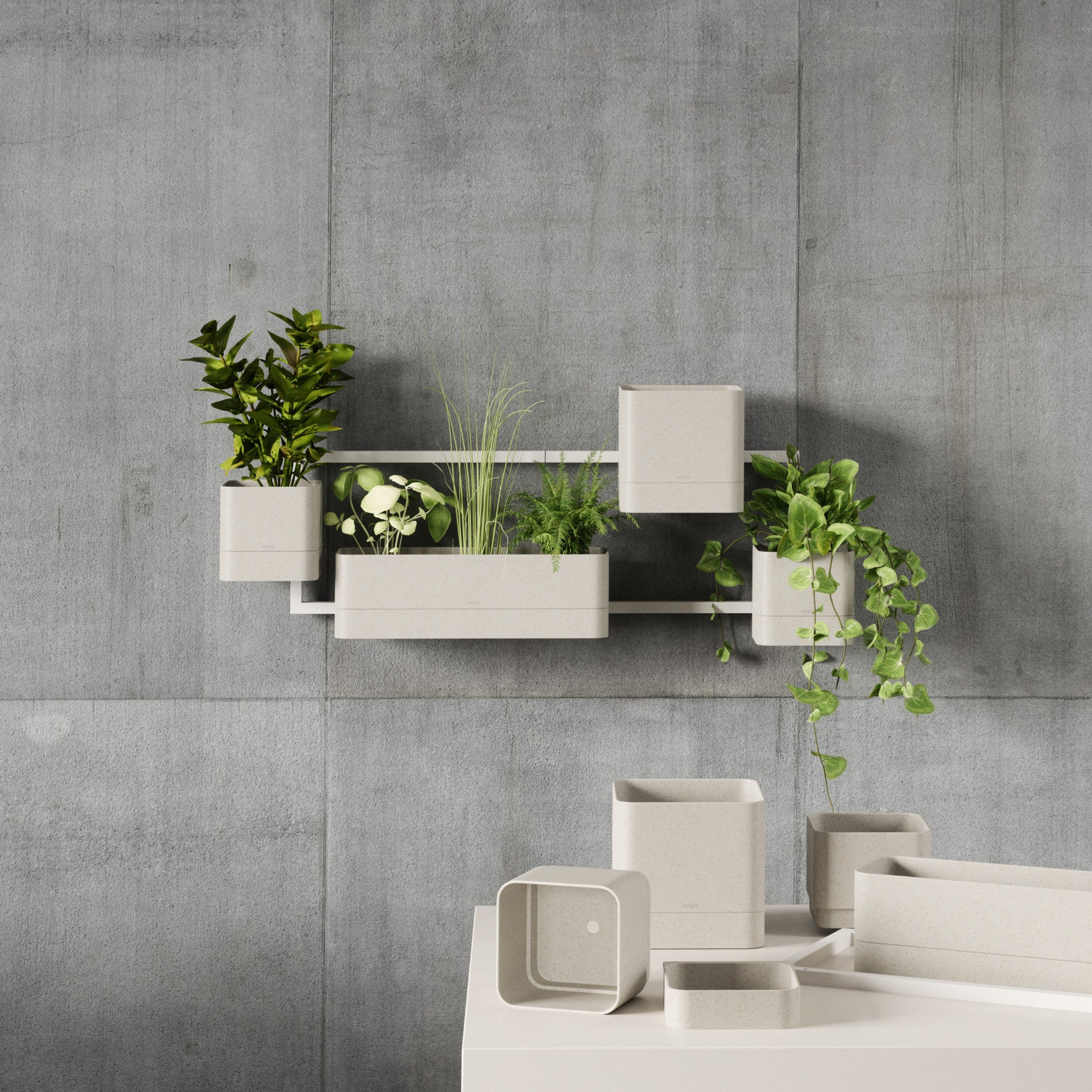 Cubiko Wall Planter - Image 13