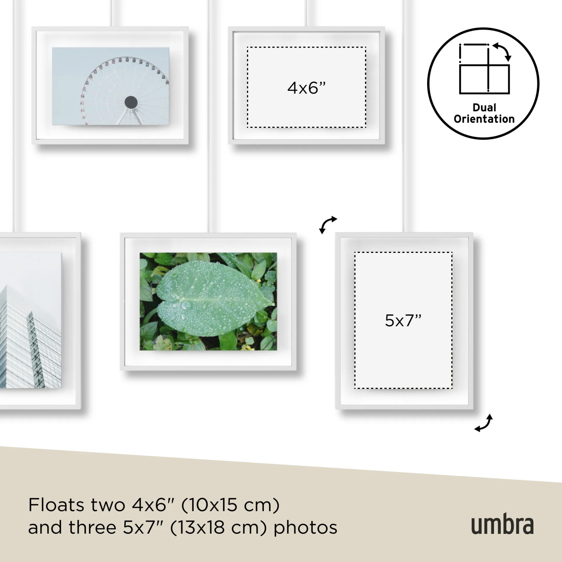 Exhibit Wall Picture Frames, Set of 5 - Image 17