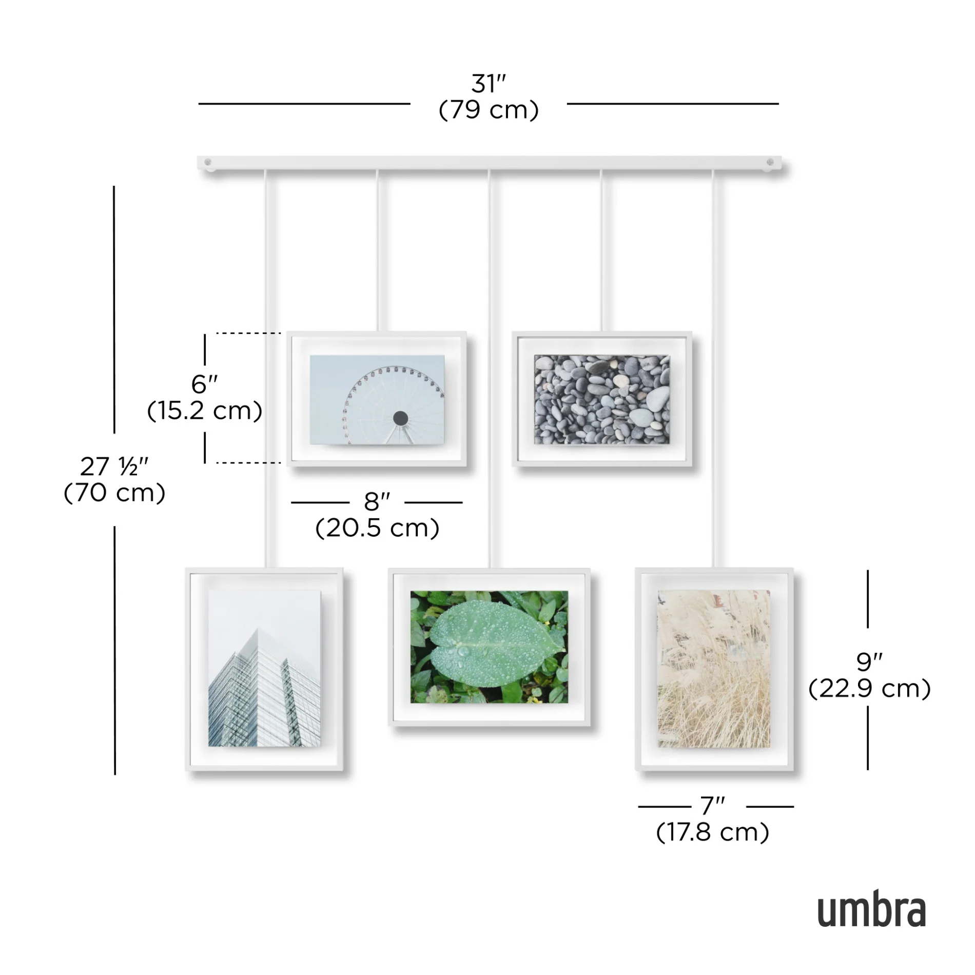 Exhibit Wall Picture Frames, Set of 5 - Image 19