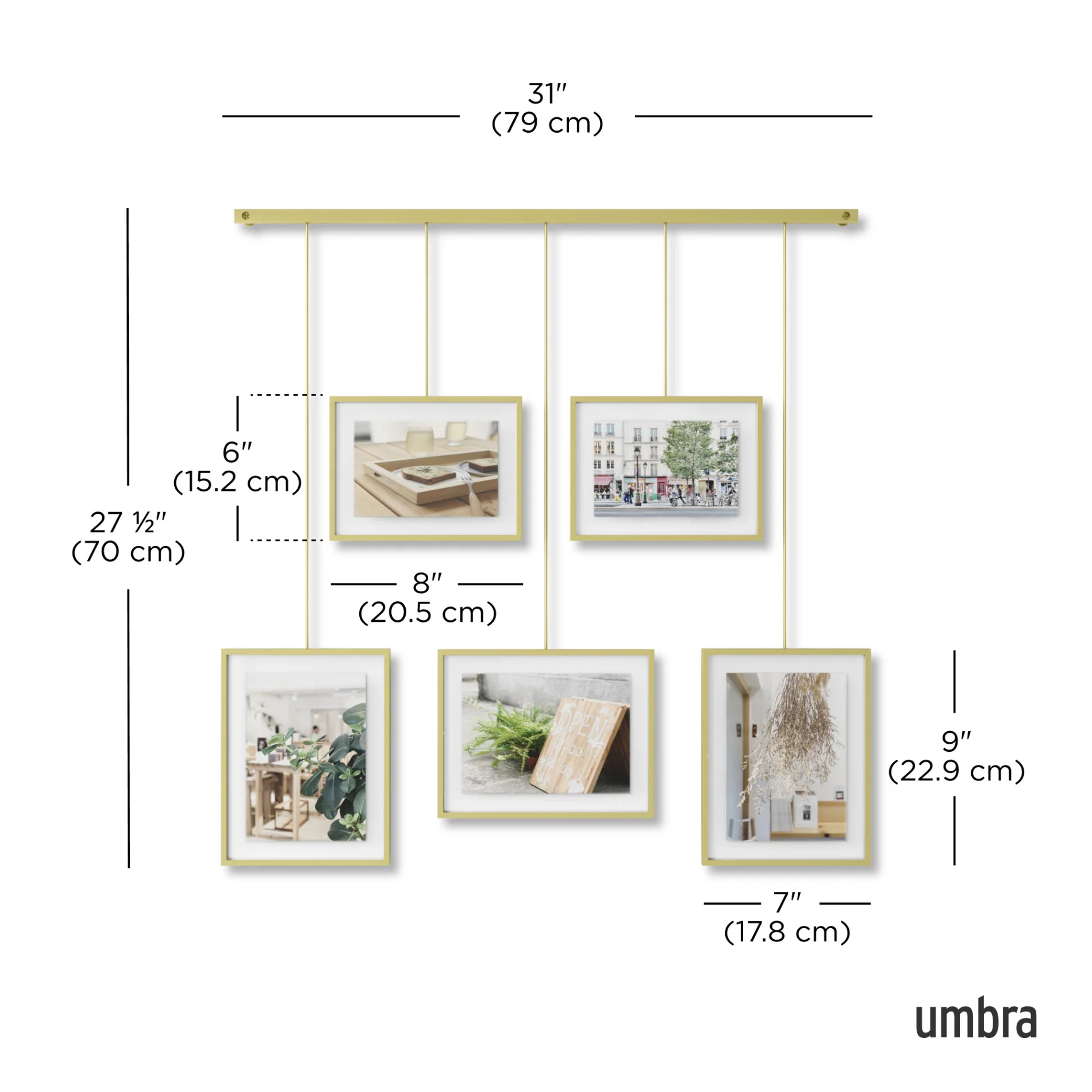 Exhibit Wall Picture Frames, Set of 5 - Image 29