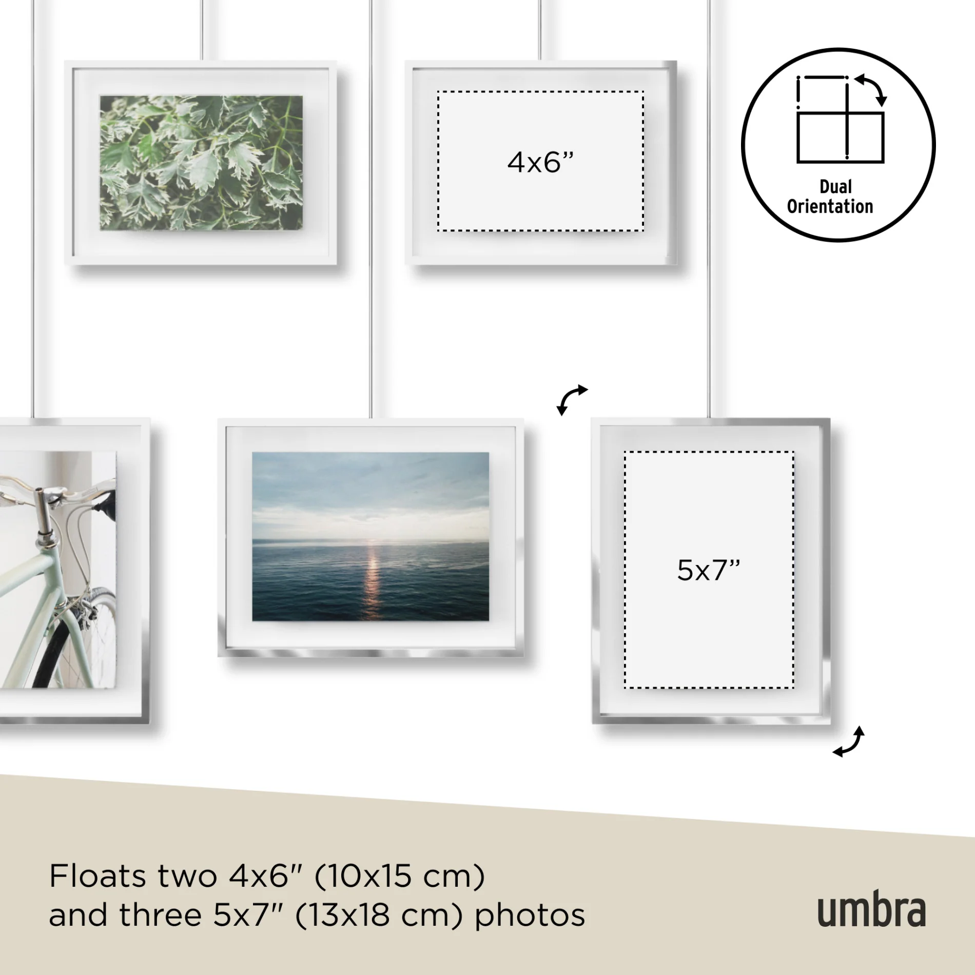 Exhibit Wall Picture Frames, Set of 5 - Image 37