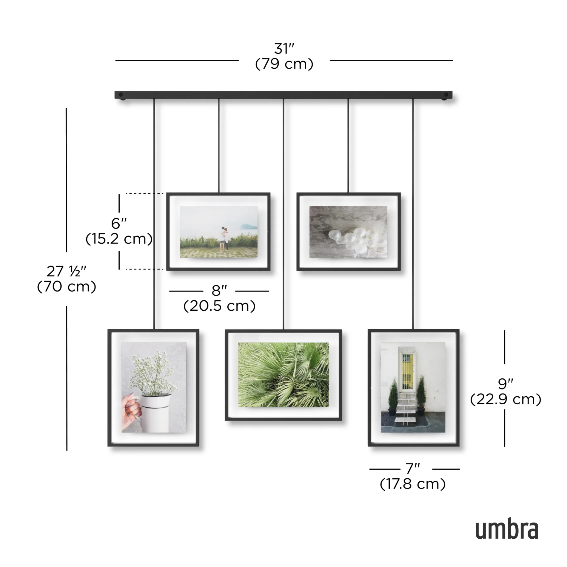 Exhibit Wall Picture Frames, Set of 5 - Image 9