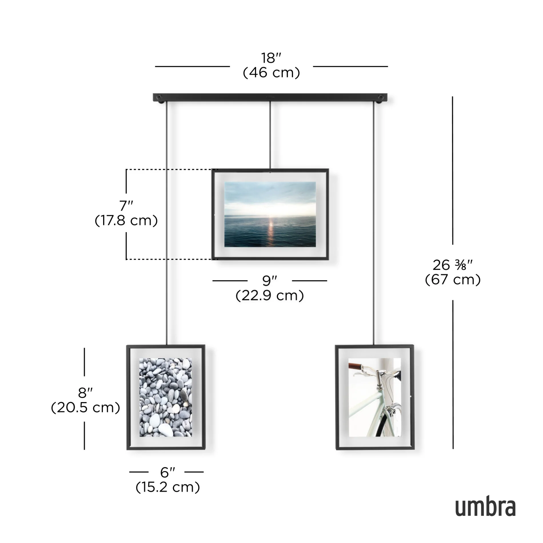 Exhibit Wall Picture Frames, Set Of 3 - Image 9