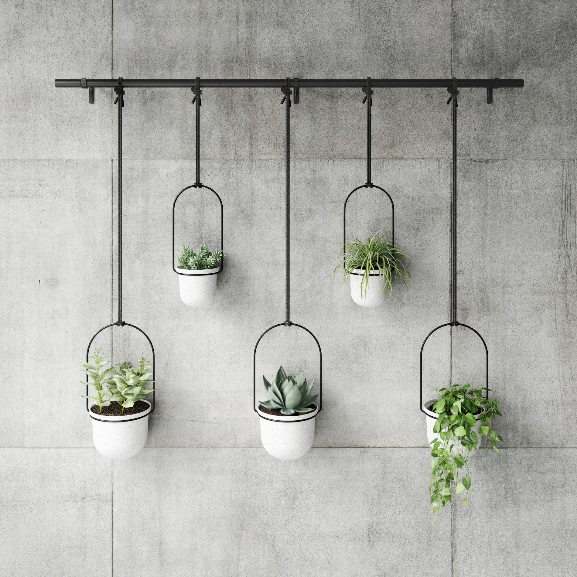 Triflora Hanging Planters, Set of 5 - Image 11