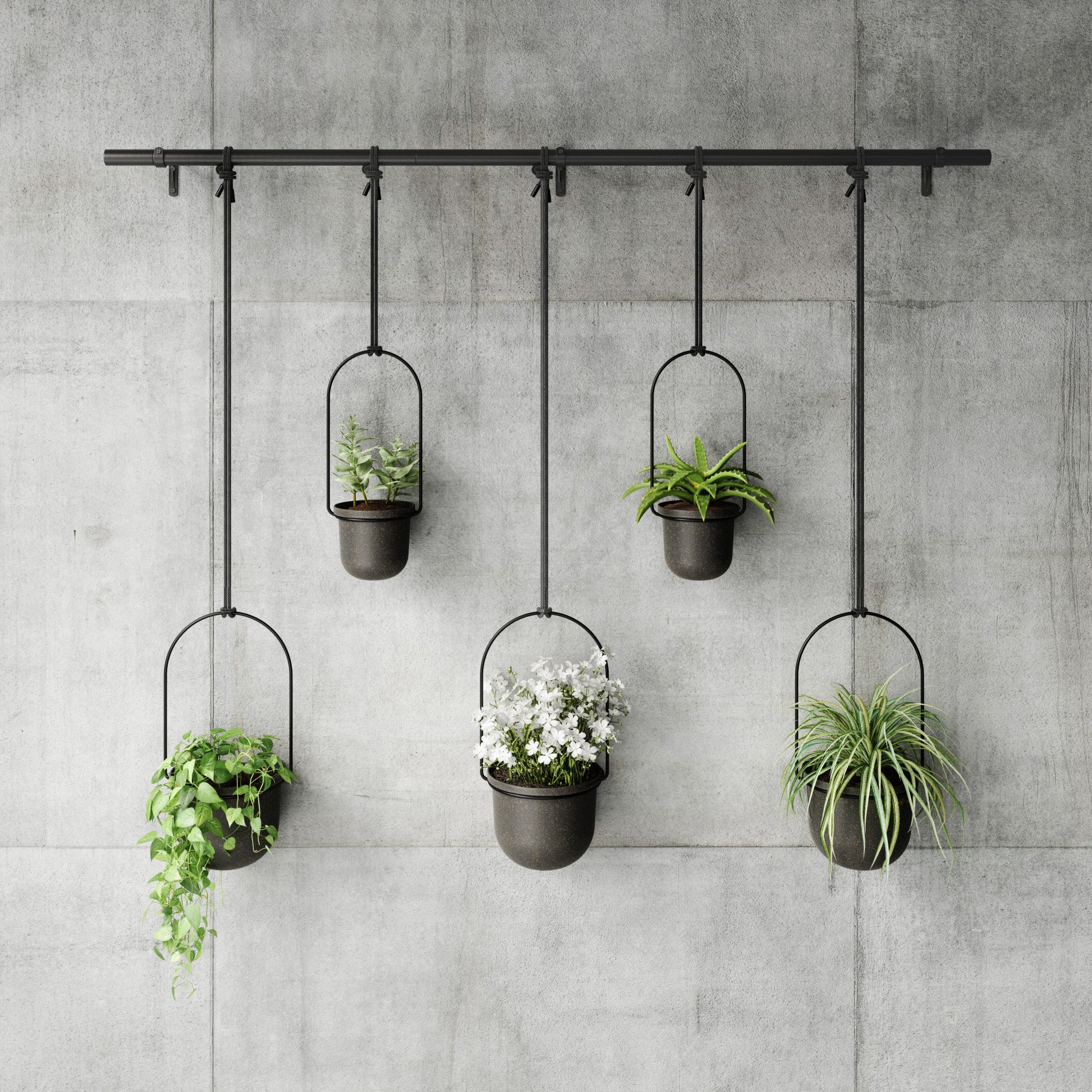 Triflora Hanging Planters, Set of 5 - Image 3