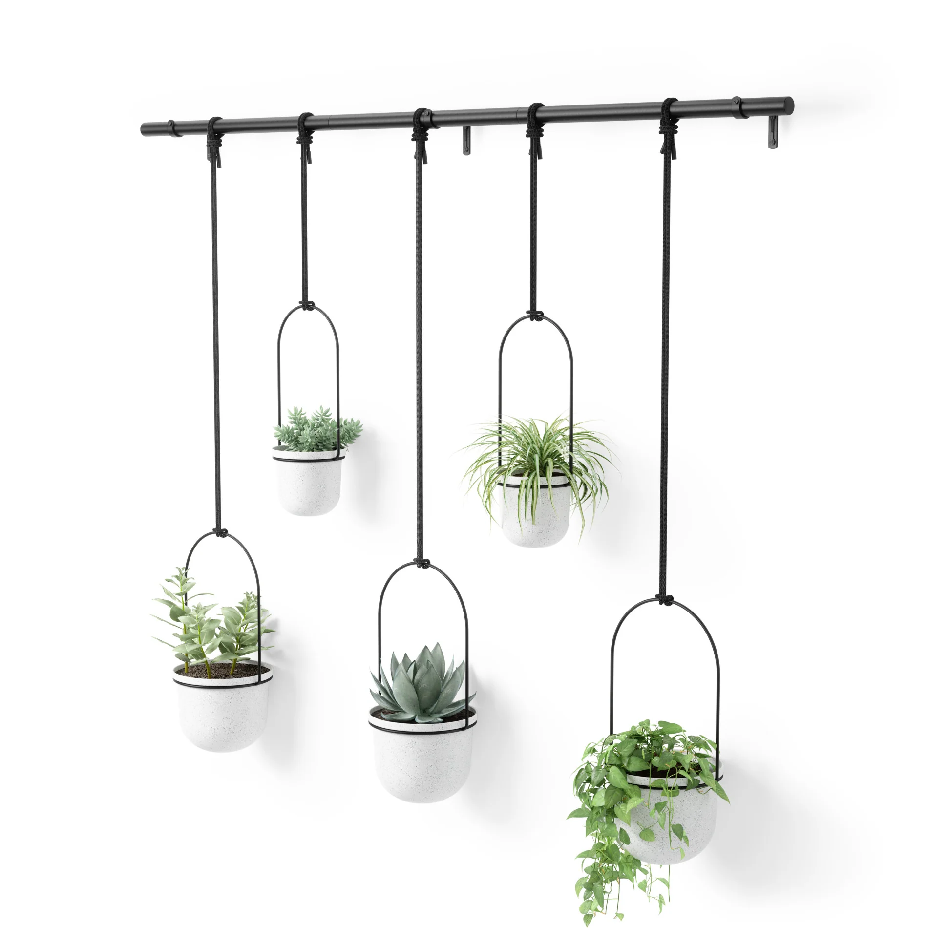 Triflora Hanging Planters, Set of 5 - Image 9